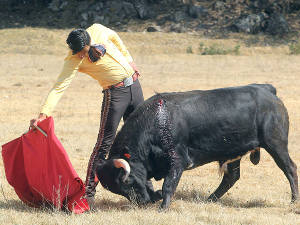 Fernando Carrillo