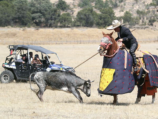 Estampa torera