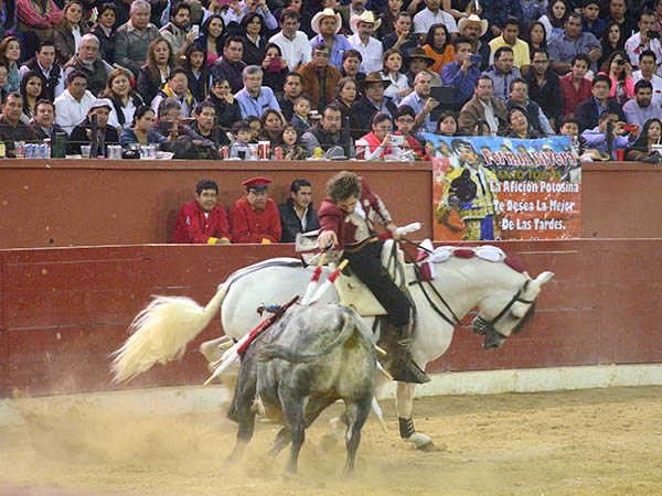 Banderilla a la grupa