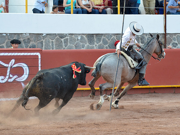 Gamero, con la garrocha