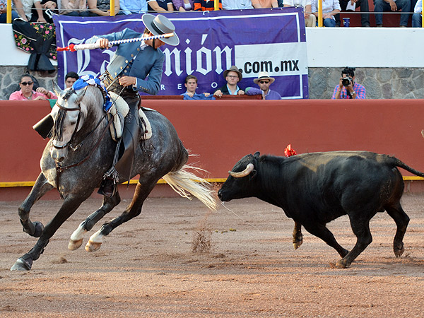 Alejandro Zendejas