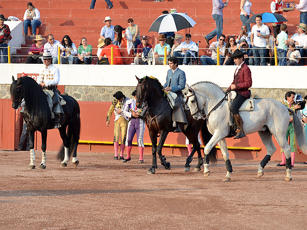 Caballeros en plaza