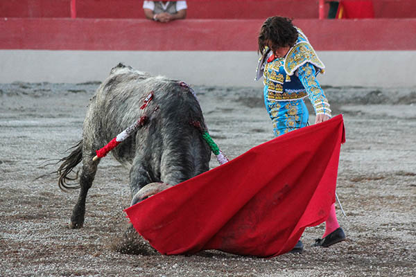 En la parte final del trasteo