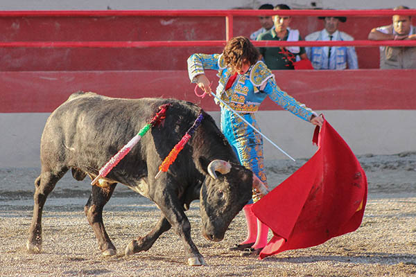 Un ayudado