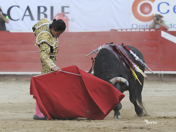 Un toro que tuvo fijeza