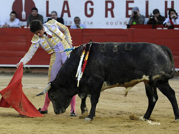 Porfi el sobrino de Curro