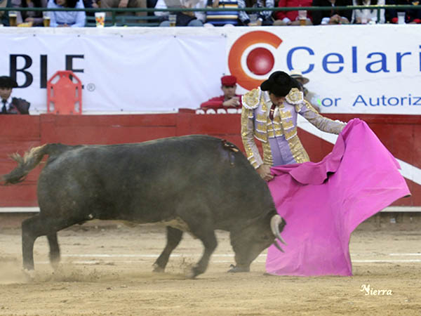 De bonitas hechuras