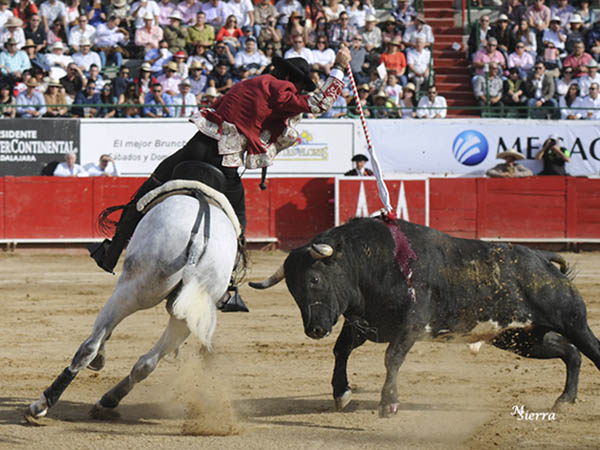 Refrend sitio en Guadalajara