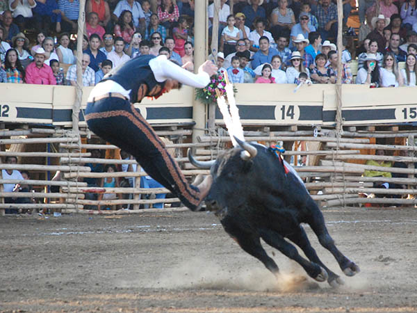 El Chihuahua, espectacular