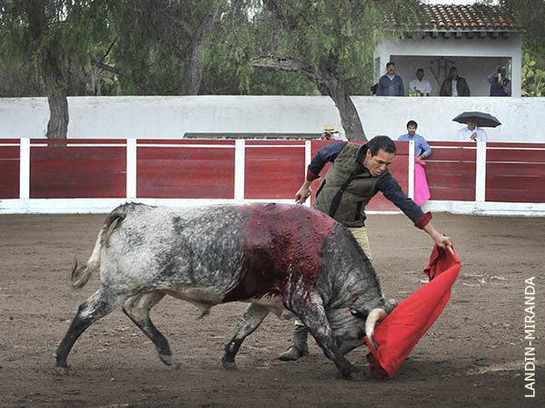 Largas series por el izquierdo