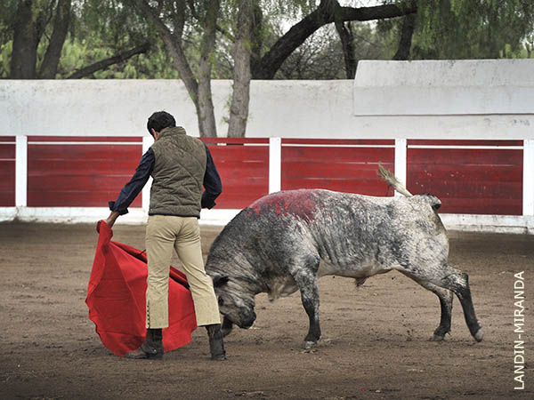 Relajado y pleno en su tauromaquia