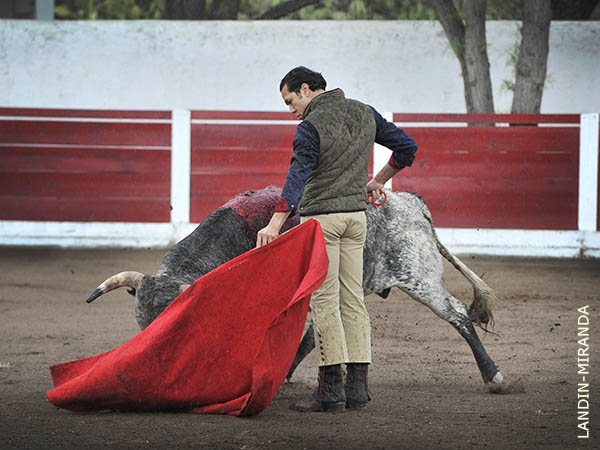 Suavidad de terciopelo