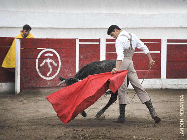 La muleta de Jos Ma. Hermosillo