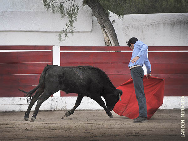 Al hilo de las tablas