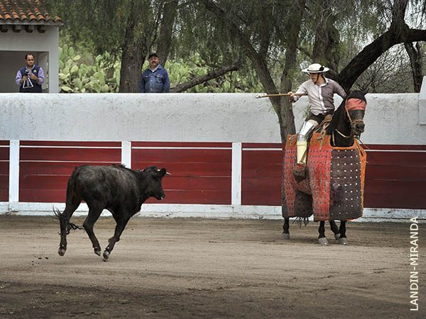 De largo, con tranco y son