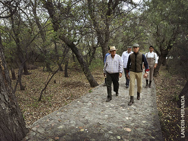 Rumbo a la placita de tientas