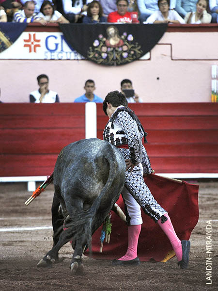 Ritmo y fijeza