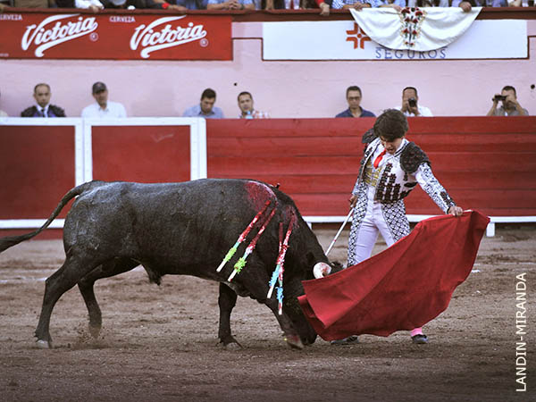 Tirando del crdeno