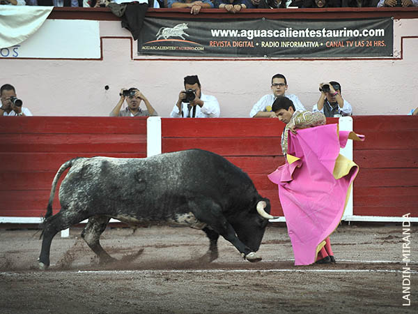 Chicuelinas leonesas