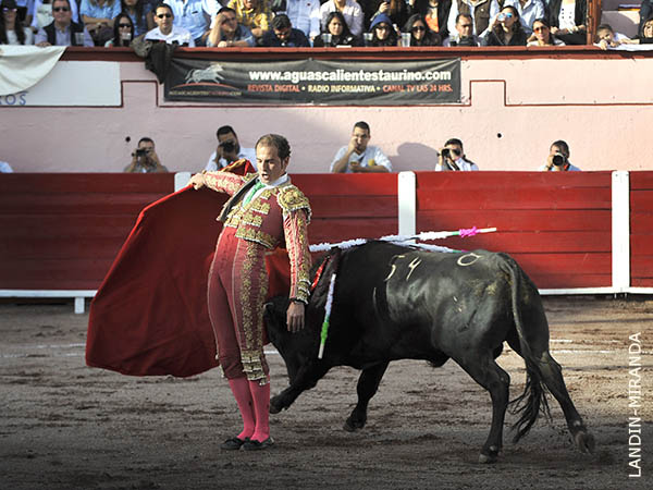 Temerario, en la boca del riego