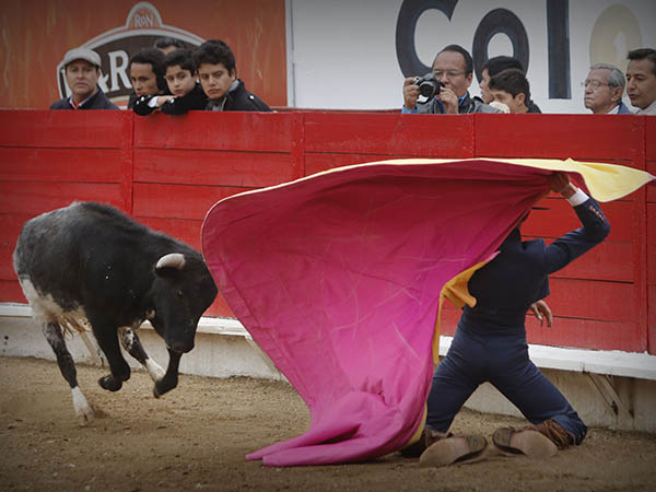 Larga de hinojos