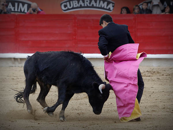 Ajustadas chicuelinas