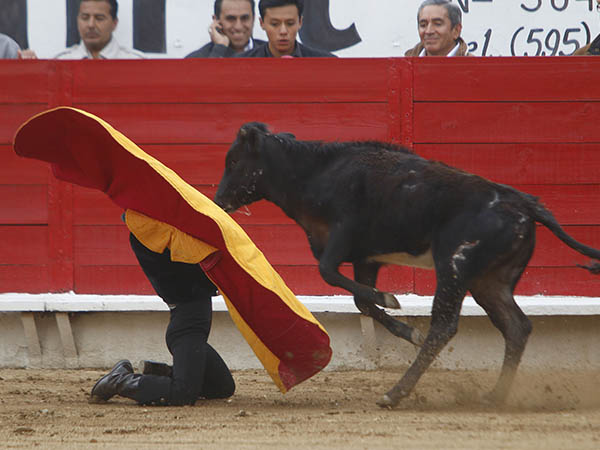 Saludo capotero