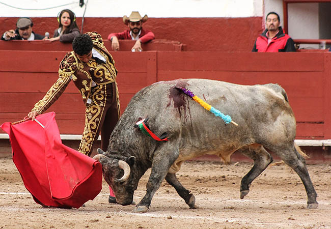 Tirando del crdeno