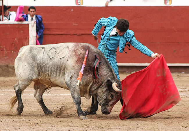 Fijo y obediente