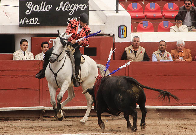 Encelando de costado