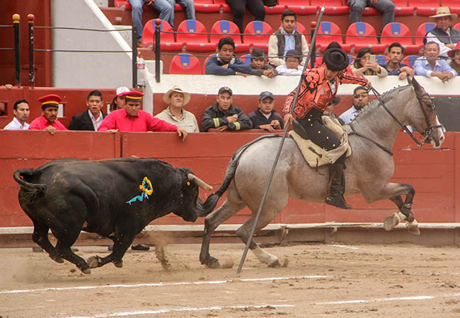 Saludo garrocha en mano