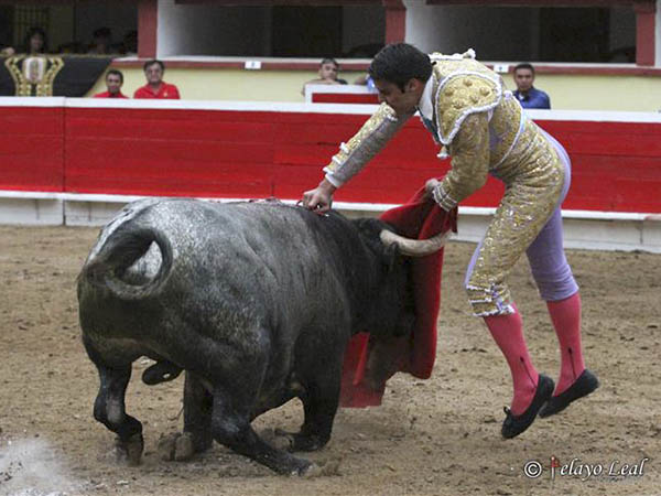 Partido en dos