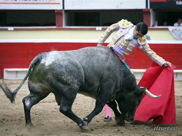 Tambin luci por la zurda