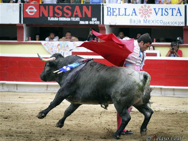 El menos potable del encierro