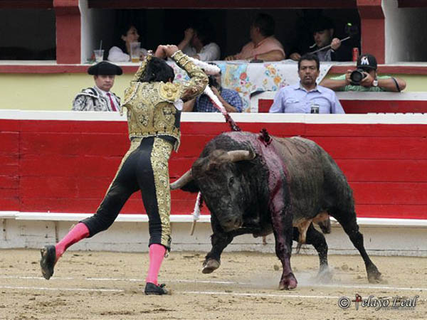 Cuadrando en la cara