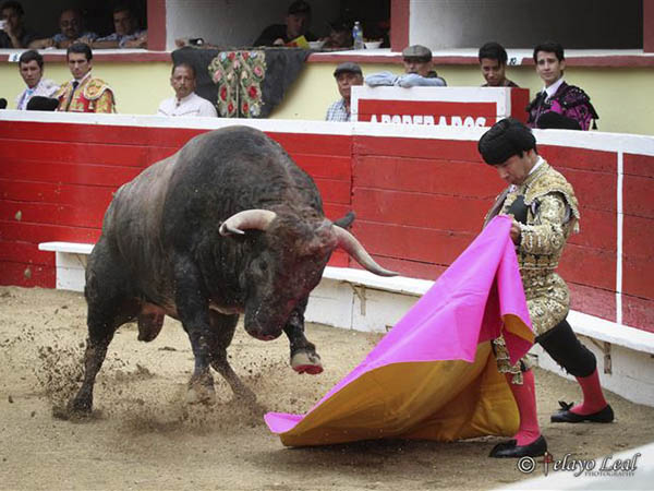 Csar Castaeda abre el festejo