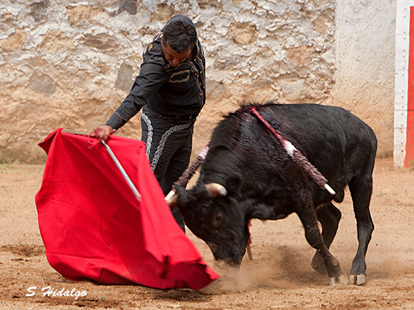 Huerta, pasando por gran momento