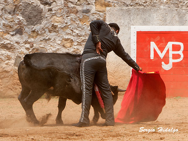 Alberto Huerta, toreo verdad