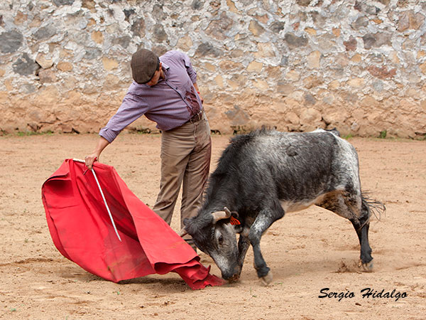 Campero, metido en el campo