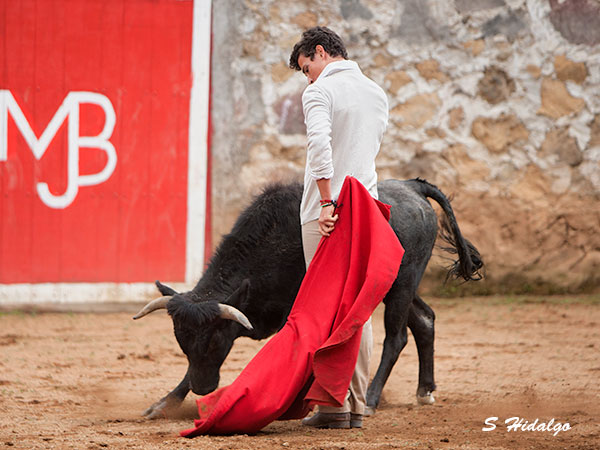 El Galo, a punto para La Mxico