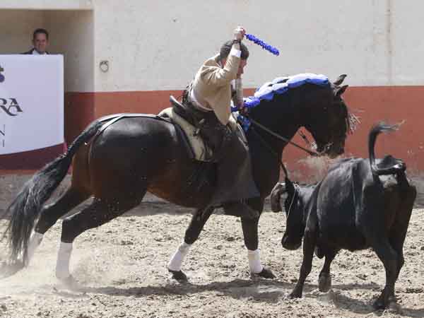 Una banderilla corta