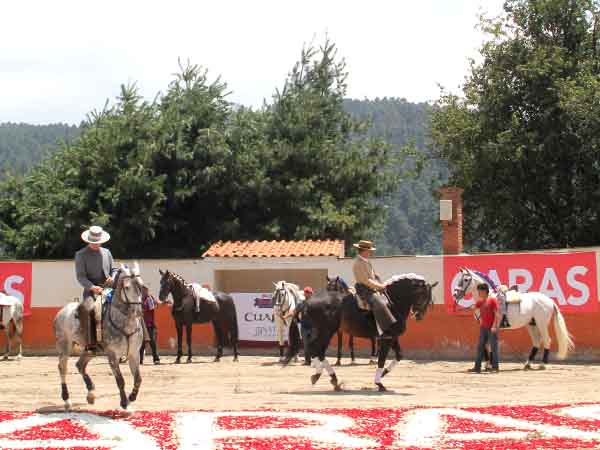 Cortijo 