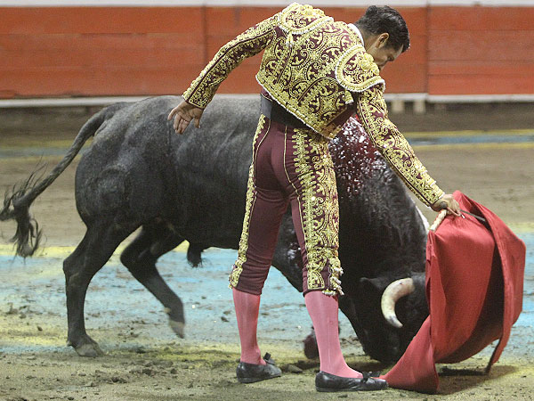 Saboreando la embestida