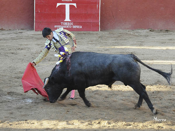 Tirando del crdeno