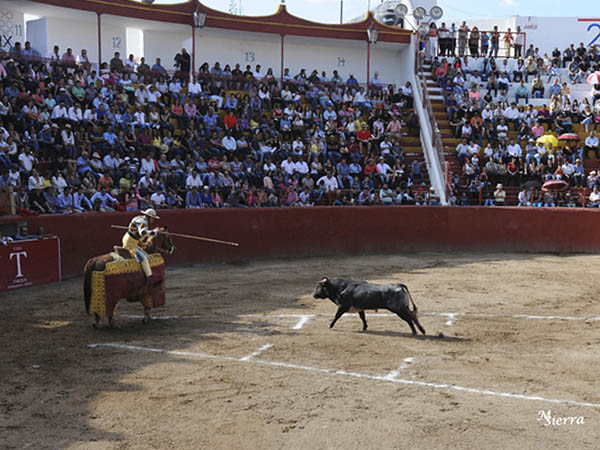 Una vara de Martn Carrillo