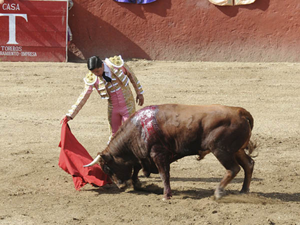 Manoa ala cintura