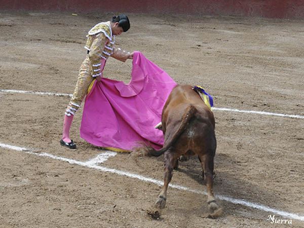 Sobre las rayas de concurso