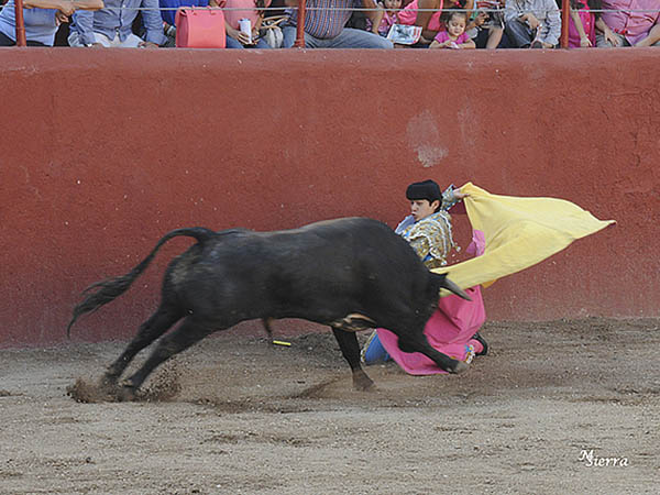 Larga cambiada de Soto