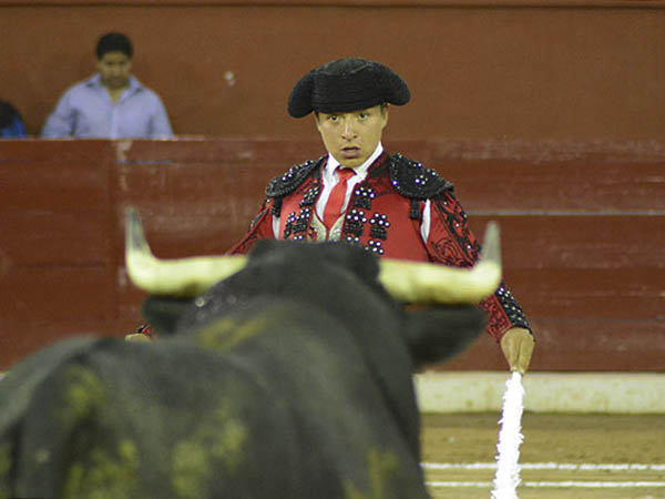 Miradas cruzadas