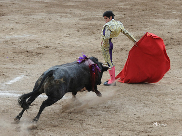 Vibrante inicio